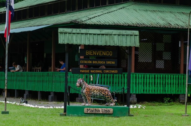 Corcovado National Park Sirena Ranger Station (Tour from Sierpe)